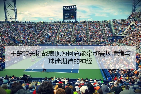 王楚钦关键战表现为何总能牵动赛场情绪与球迷期待的神经